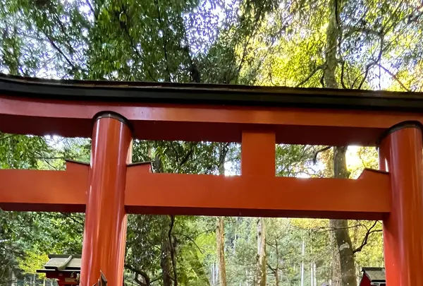 貴船神社の写真・動画_image_1473140