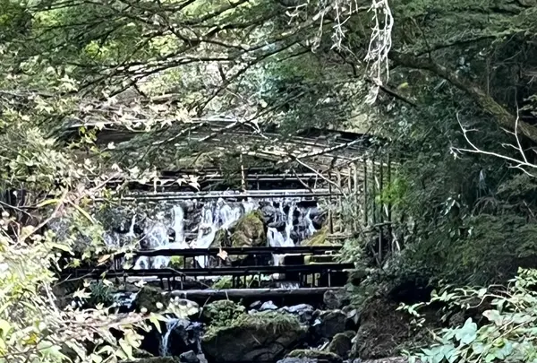 貴船神社の写真・動画_image_1473141