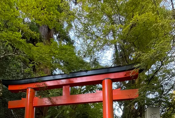貴船神社の写真・動画_image_1473142