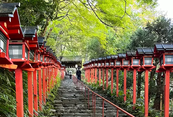 貴船神社の写真・動画_image_1473143