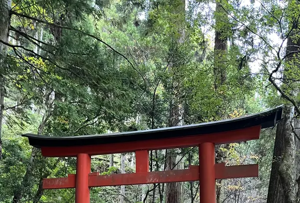 貴船神社の写真・動画_image_1473144