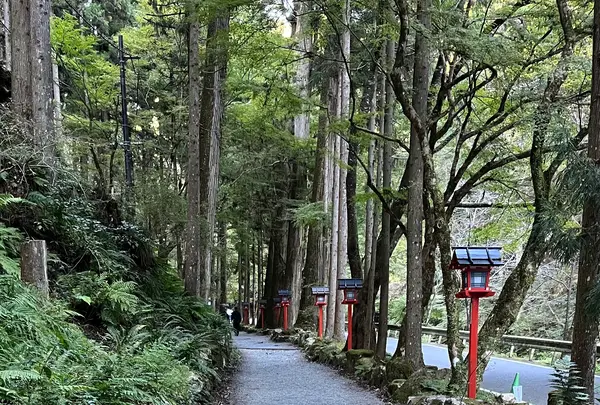 貴船神社の写真・動画_image_1473145