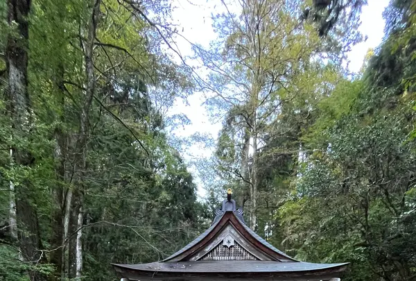 貴船神社の写真・動画_image_1473147