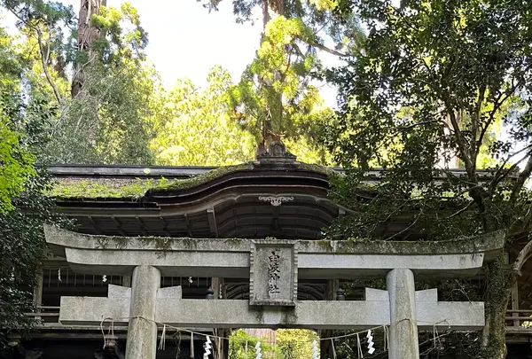 鞍馬寺の写真・動画_image_1473162