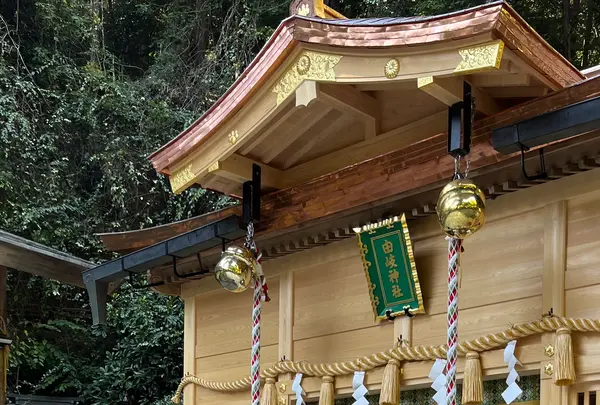 鞍馬寺の写真・動画_image_1473164