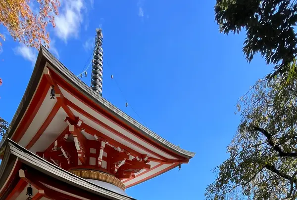 鞍馬寺の写真・動画_image_1473169
