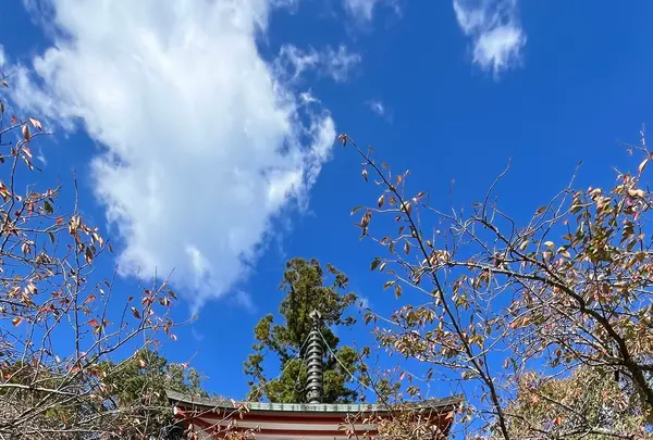 鞍馬寺の写真・動画_image_1473170