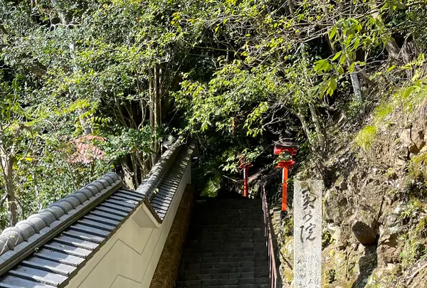 鞍馬寺の写真・動画_image_1473173