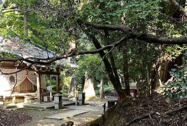 鞍馬寺の写真・動画_image_1473175