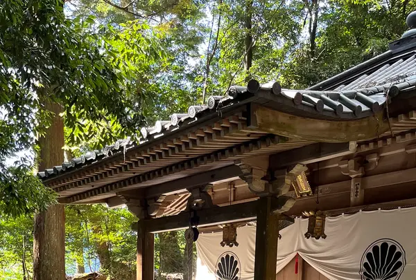 鞍馬寺の写真・動画_image_1473176