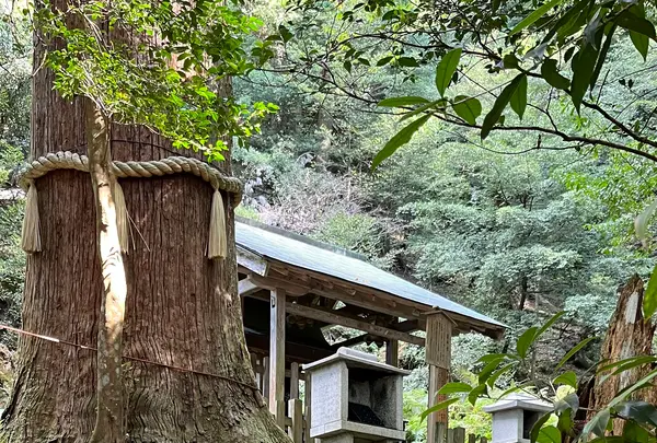 鞍馬寺の写真・動画_image_1473177