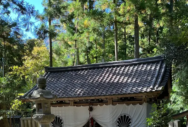 鞍馬寺の写真・動画_image_1473179