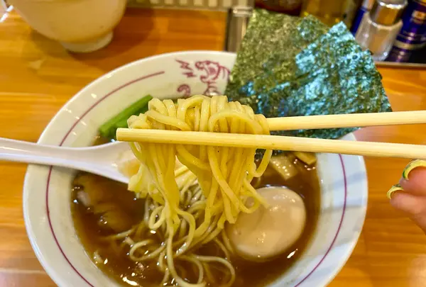ロースの虎の写真・動画_image_1473593