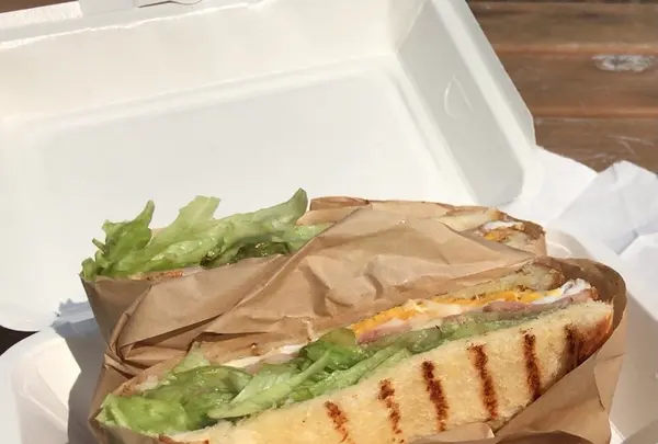 泉自然公園の写真・動画_image_1475988