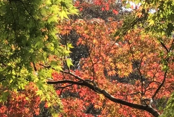 泉自然公園の写真・動画_image_1476004