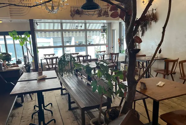 はらぺこ飯店の写真・動画_image_1476967