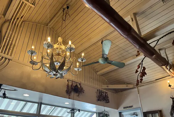 はらぺこ飯店の写真・動画_image_1476969