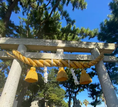 日間賀神社の写真・動画_image_1477902
