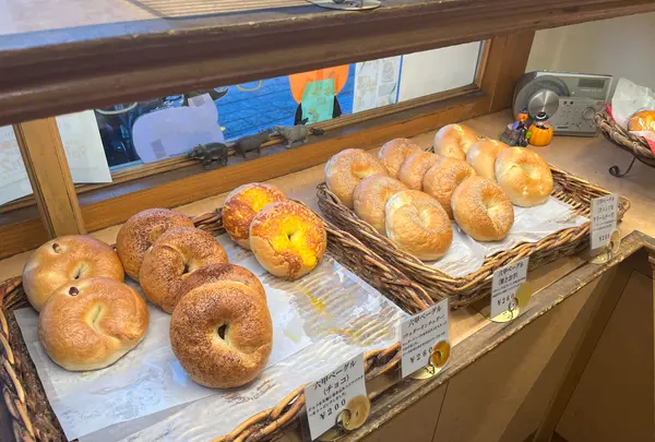 ヒポポタマスの写真・動画_image_1478777