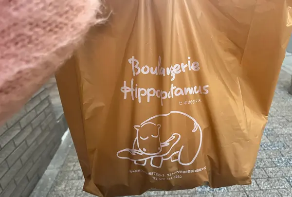 ヒポポタマスの写真・動画_image_1478783