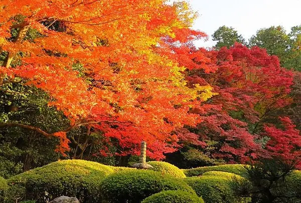 詩仙堂 丈山寺