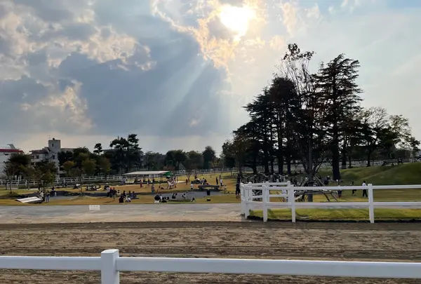 馬事公苑の写真・動画_image_1481915