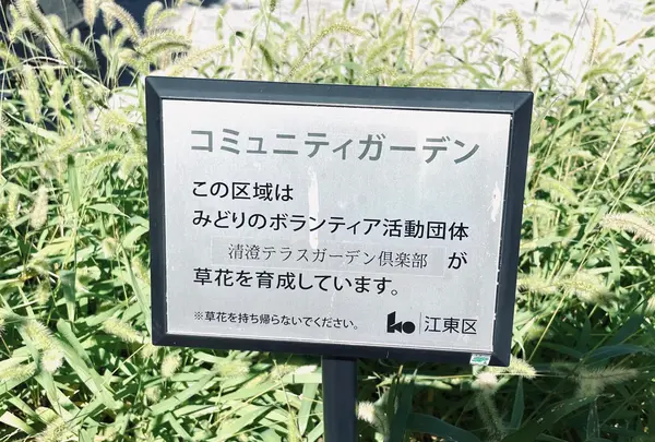 清澄二丁目公園の写真・動画_image_1482720