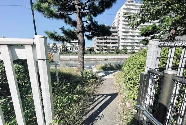 白河児童遊園の写真・動画_image_1482901