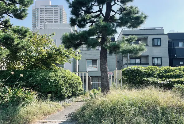 白河児童遊園の写真・動画_image_1482903
