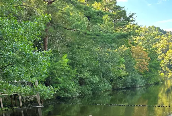 宝ヶ池公園の写真・動画_image_1483120