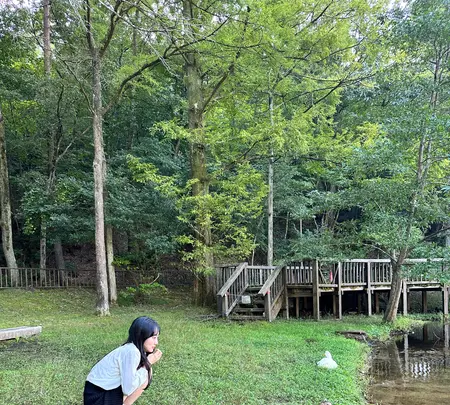 宝ヶ池公園の写真・動画_image_1483121