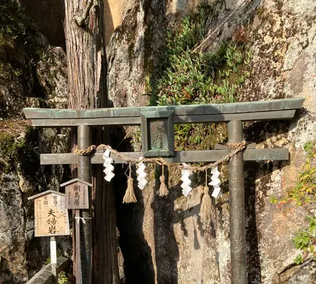 太郎坊宮の写真・動画_image_1483997