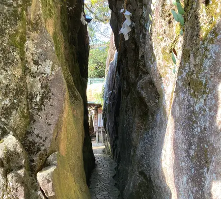 太郎坊宮の写真・動画_image_1483999