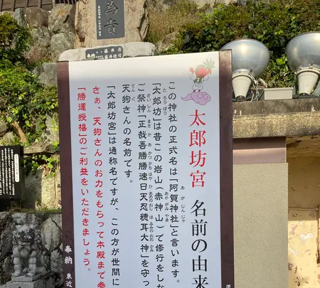 太郎坊宮の写真・動画_image_1484003