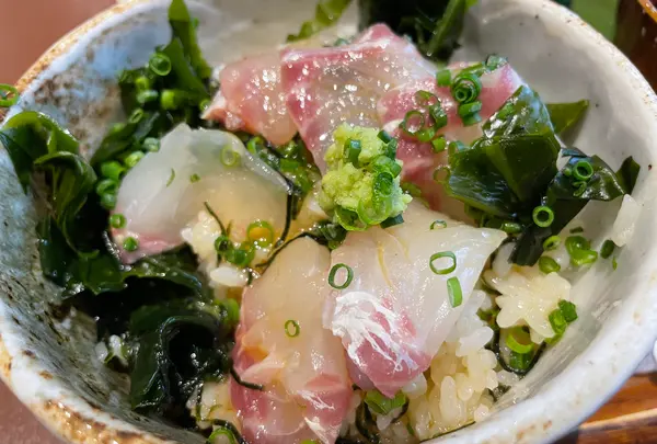 鯛樹の写真・動画_image_1485802