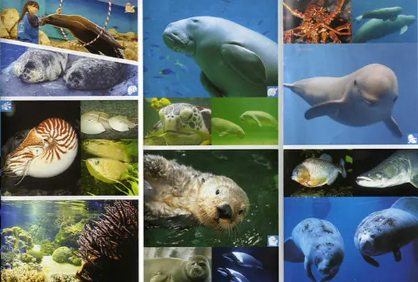 鳥羽水族館