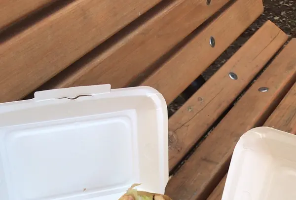 泉自然公園の写真・動画_image_1490269