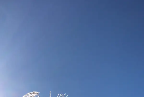 泉自然公園の写真・動画_image_1490271