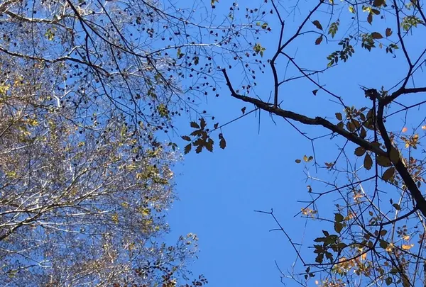 泉自然公園の写真・動画_image_1490272