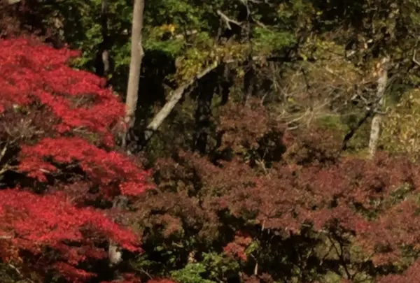 泉自然公園の写真・動画_image_1490273