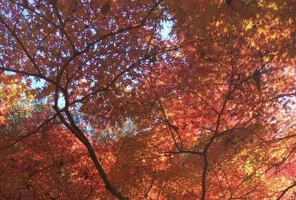 泉自然公園の写真・動画_image_1490274