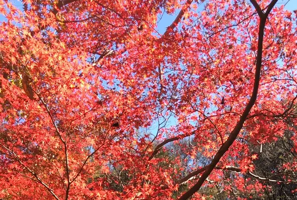 泉自然公園の写真・動画_image_1490278