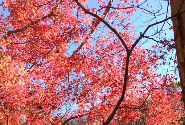 泉自然公園の写真・動画_image_1490279