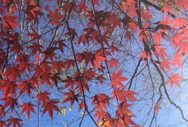 泉自然公園の写真・動画_image_1490280