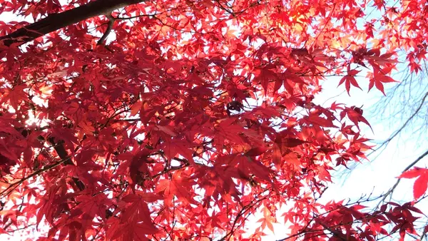 泉自然公園の写真・動画_image_1490281