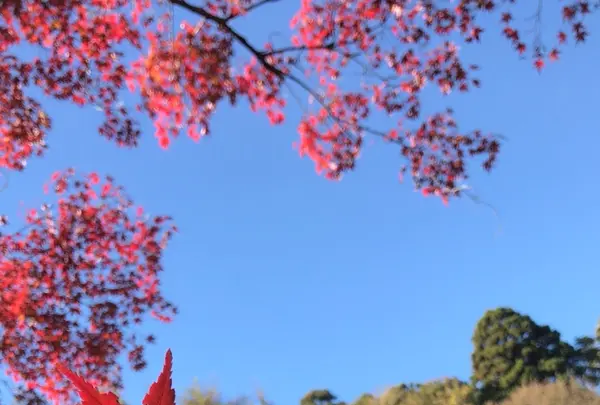 泉自然公園の写真・動画_image_1490284