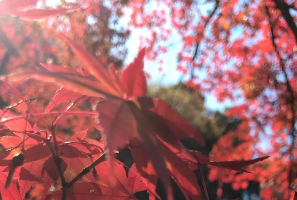 泉自然公園の写真・動画_image_1490285