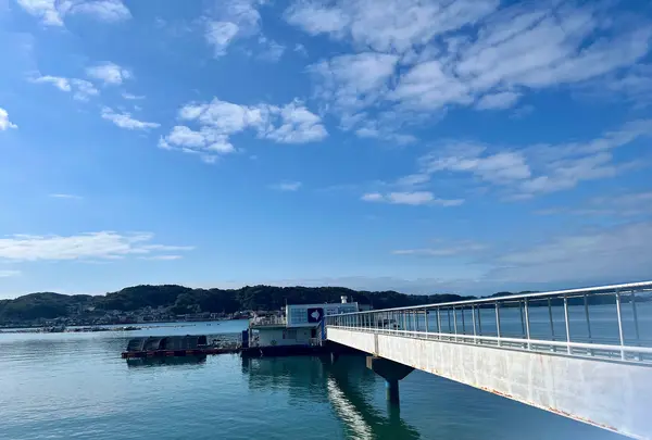 呼子萬坊の写真・動画_image_1496042