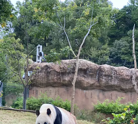 上野動物園の写真・動画_image_1497507