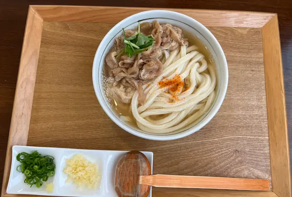手打ちうどんkingyoの写真・動画_image_1498420